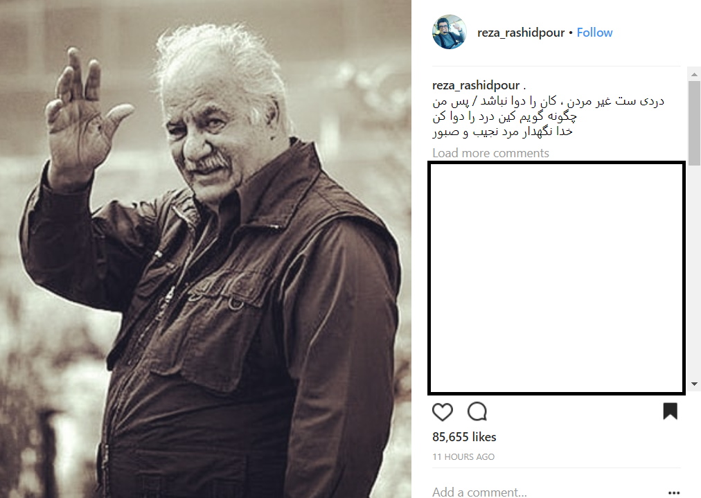 رضا رشیدپور