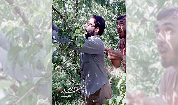 نقد فیلم سینمایی انحصار ورثه در سایت منظوم نقد فیلم سینمایی انحصار ورثه در سایت منظوم