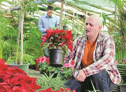 علی دهکردی در فیلم دریاچه ماهی