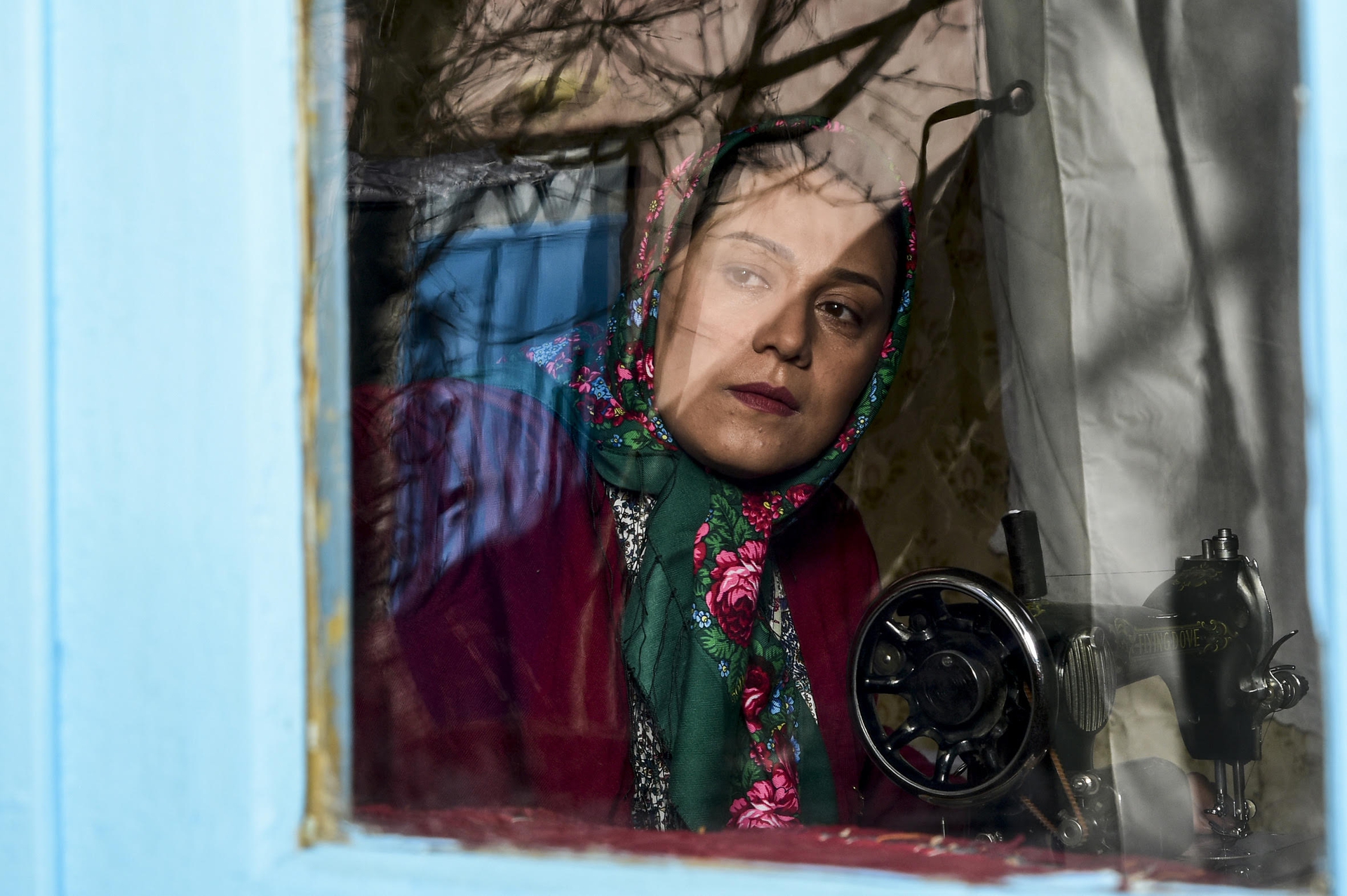 شبنم مقدمی در فیلم سینمایی خجالت نکش