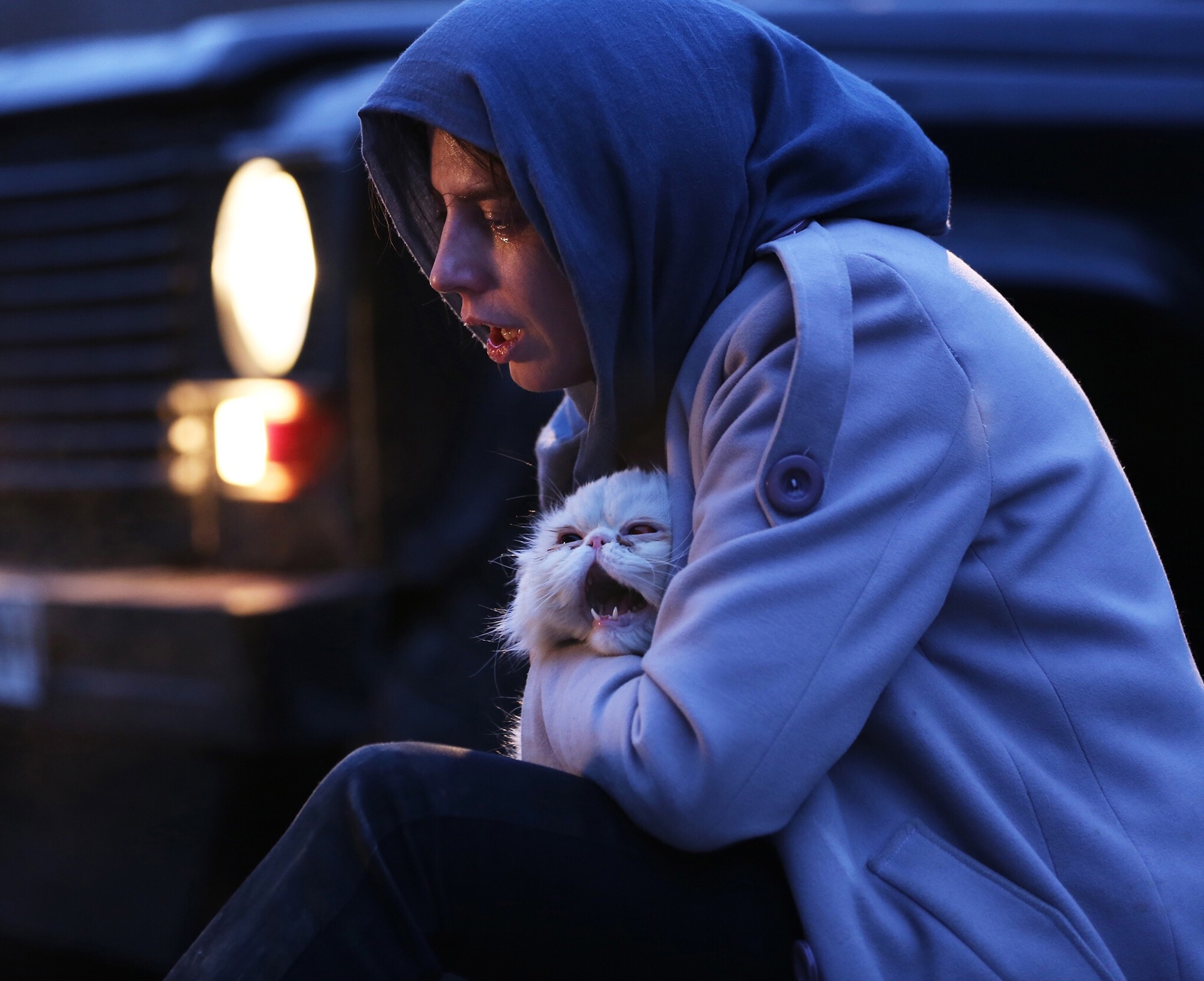 معرفی کامل بازیگران و بررسی فیلم «رگ خواب» + عکس‌ها و تصاویر