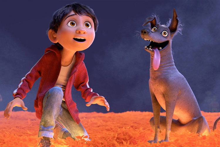 نقد انیمیشن کوکو نقد انیمیشن کوکو