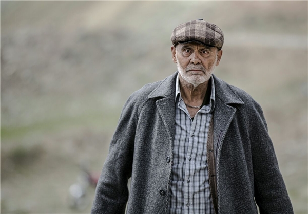 دارکوب دارکوب