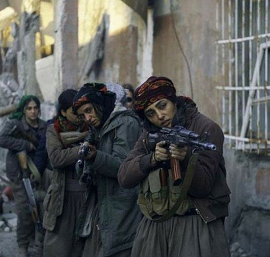 گلشیفته فراهانی