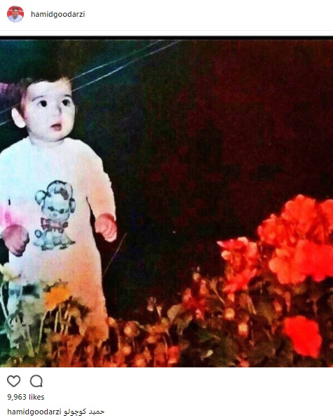 حمید گودرزی