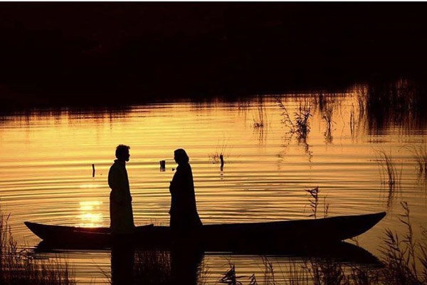 فیلم های در حال اکران