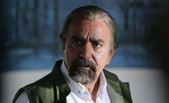 پرویر پرستویی