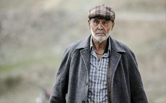 دارکوب دارکوب