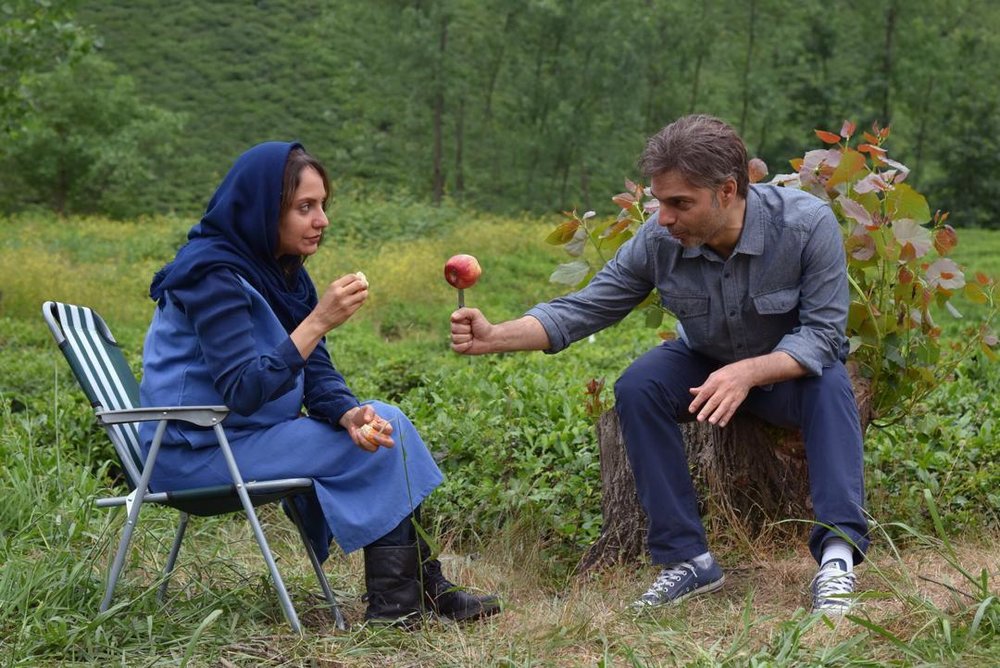 ناگهان درخت