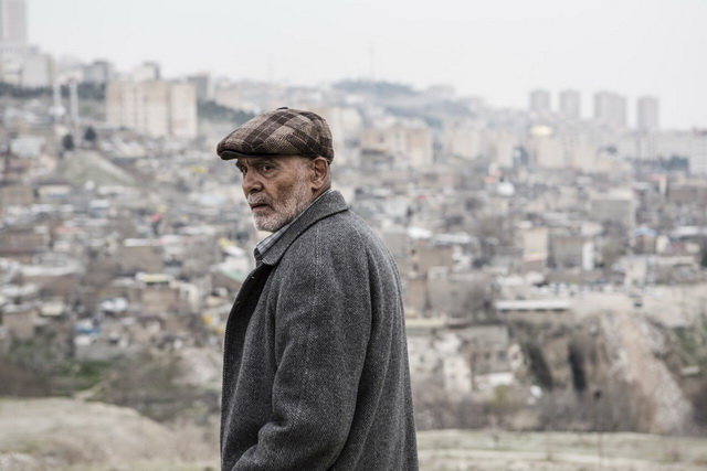 دارکوب دارکوب