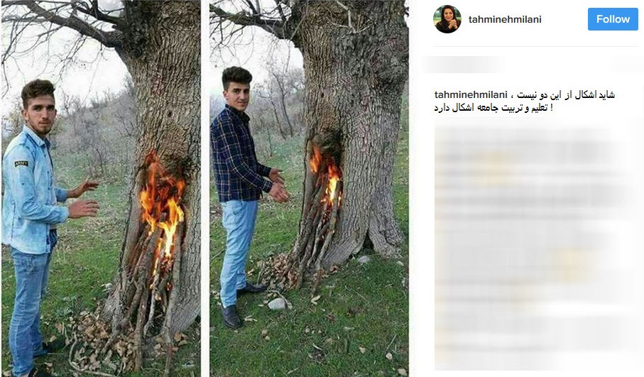 تهمینه میلانی