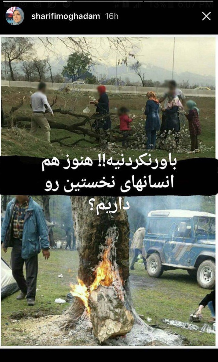 المیرا شریفی مقدم المیرا شریفی مقدم