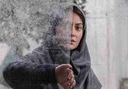 دارکوب دارکوب