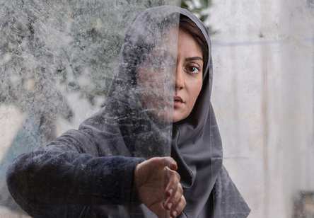 دارکوب دارکوب