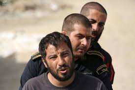 مغزهای کوچک زنگ زده مغزهای کوچک زنگ زده