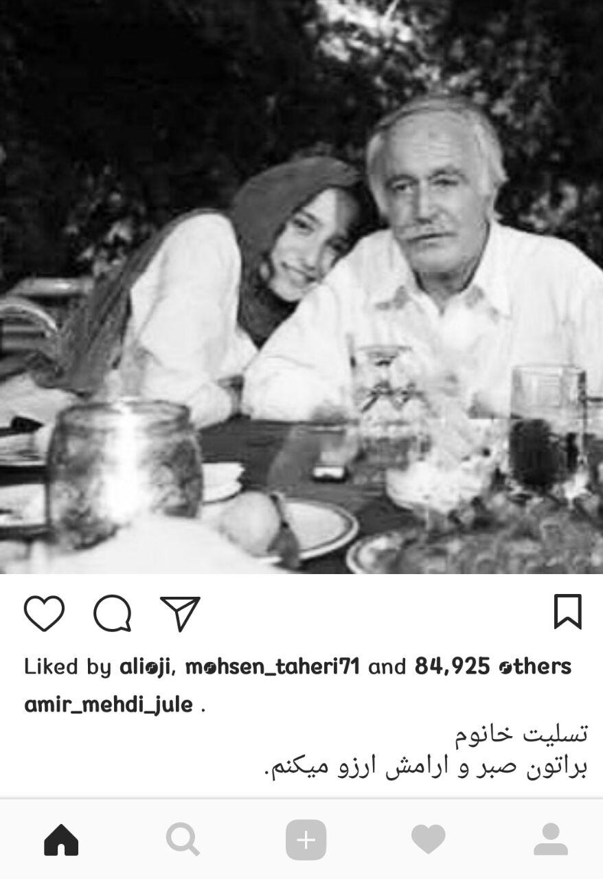 امیرمهدی ژوله