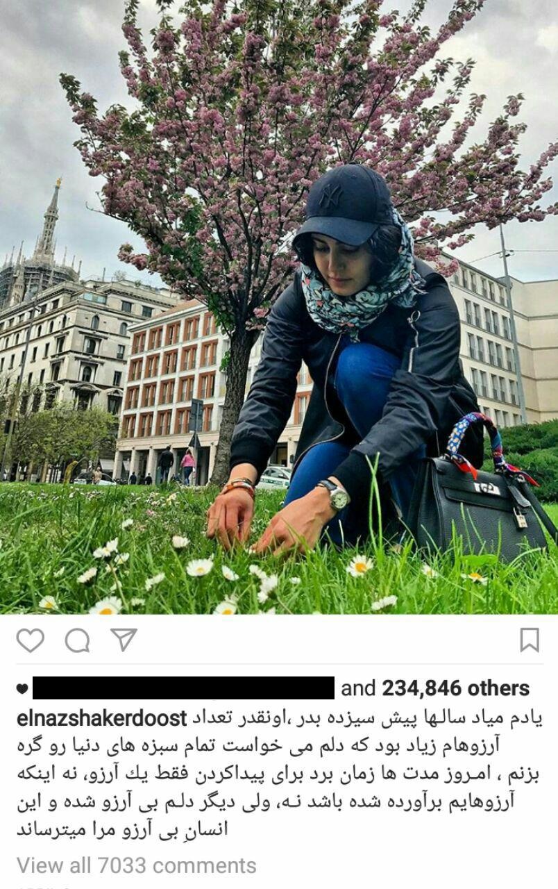 الناز شاکردوست