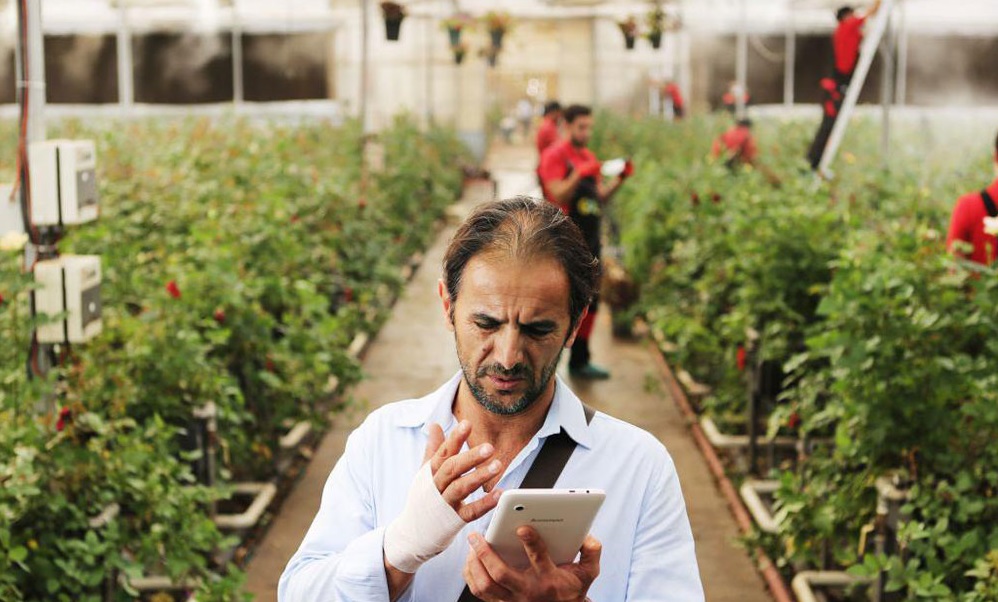 شعله ور شعله ور